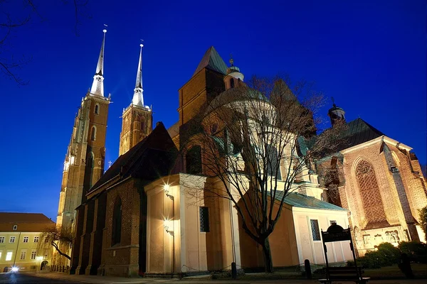 Gotiska katedralen i wroclaw — Stockfoto