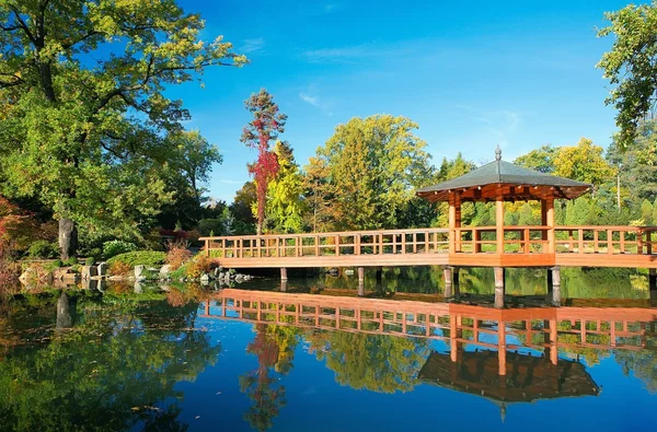 Japon bahçe wroclaw, Polonya