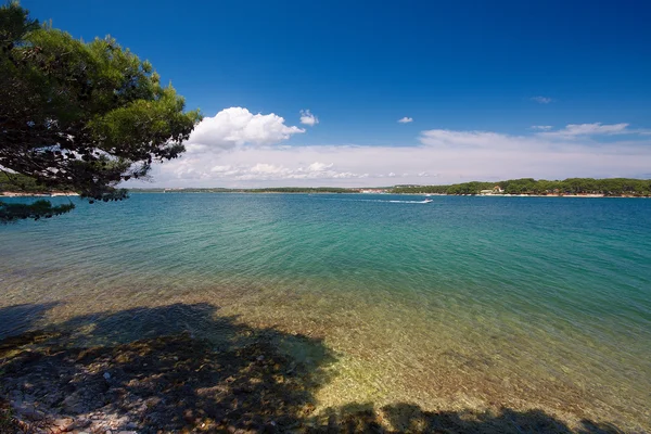 Croacia - Adriático hermoso paisaje de la costa en Istria . — Foto de Stock