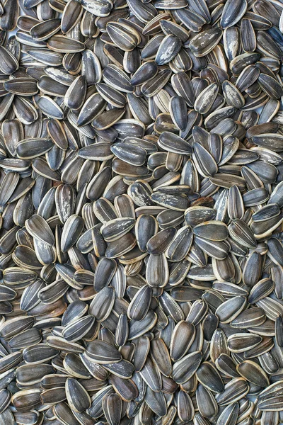 Texture di semi di girasole — Foto Stock