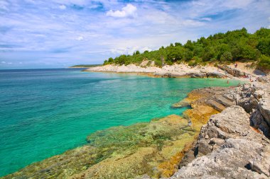 Hırvatistan, Istria. güzel mavi Körfezi
