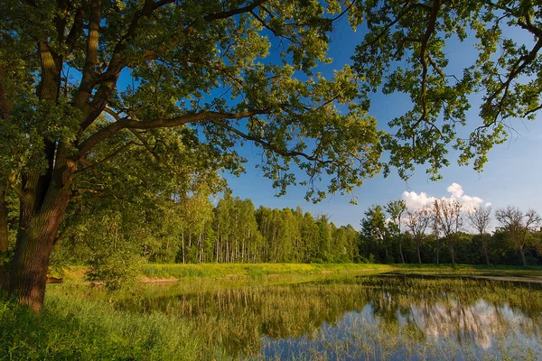 Uitzicht op het meer Pools groene — Stockfoto