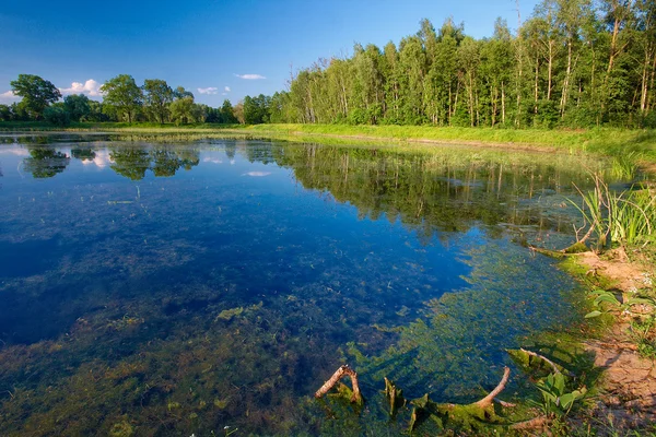 Pools lake in de zomer — Stockfoto