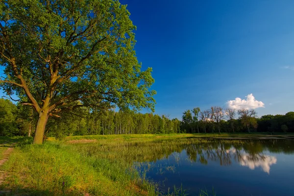 Uitzicht op het meer Pools groene — Stockfoto