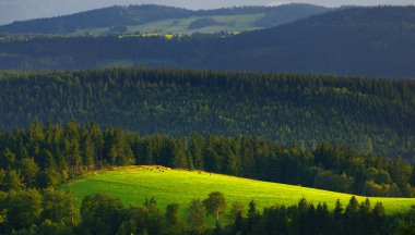 Sudeten, Poland. View of green topped. clipart