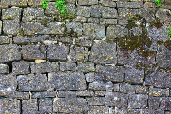 Historical background wall — Stock Photo, Image