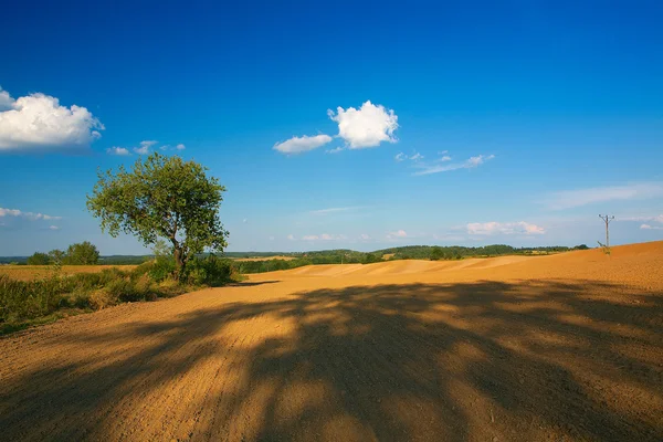 Landschaft gepflügt Felder — Stockfoto