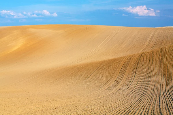 Landschap van glooiende velden — Stockfoto