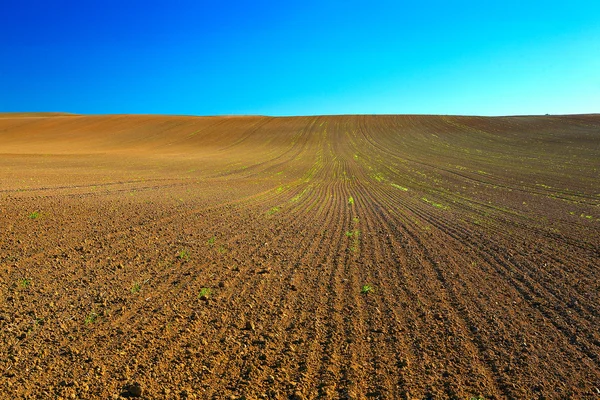 Paysage champs labourés d'or . — Photo