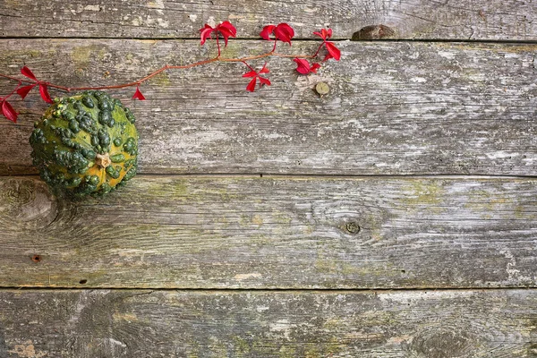 Abóbora no fundo de madeira — Fotografia de Stock