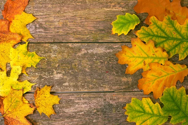 Herfst bladeren op een houten achtergrond — Stockfoto