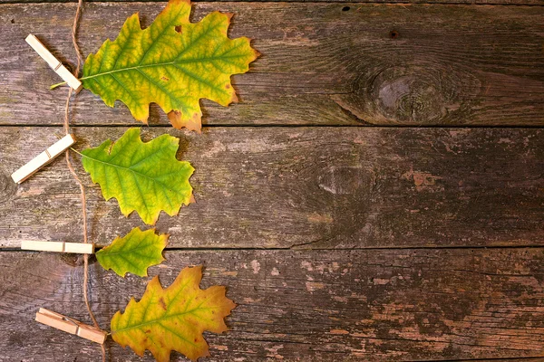 Abstraction d'automne sur un fond en bois — Photo