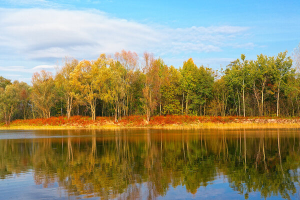 Осенний пейзаж на озере
.