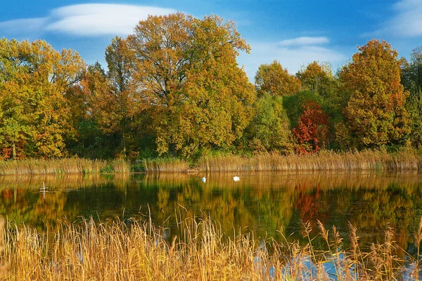 Herfst landschap op het meer. — Stockfoto