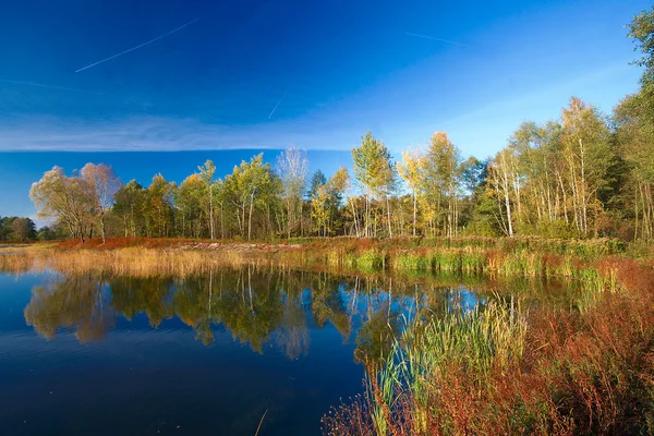 Landschap van een meer in de herfst. — Stockfoto