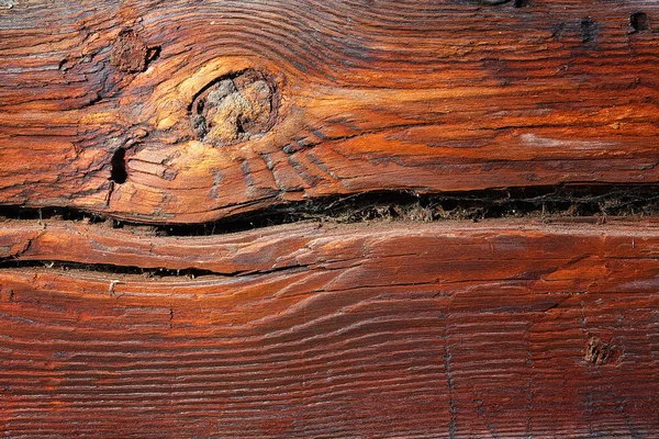 Texture of wood. — Stock Photo, Image