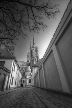 Katedral ada wroclaw, Polonya