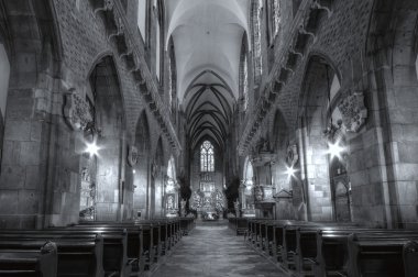 katedral iç. Wroclaw, Polonya