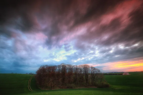 Landscape of green meadows — Stock Photo, Image