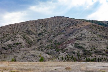 Taze hasat edilmiş saman balyaları, diğer yeşil tarlalar, dağlar ve mavi gökyüzü ile sarı kuru vadi. Koyu yeşil ağaç yaprakları. Türkiye 'de tarım ve tarım.