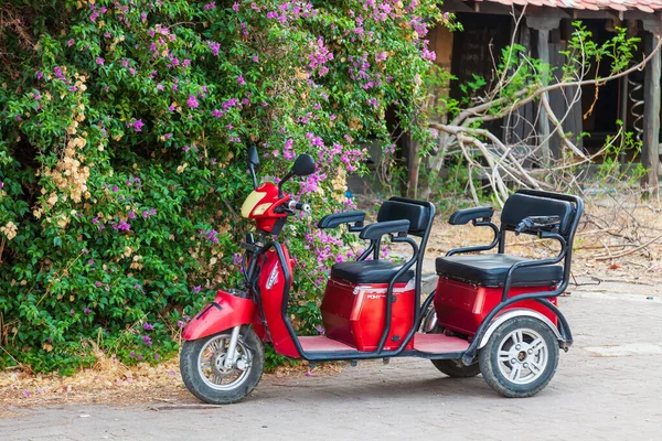 Camyuva Turkiet 2021 Röd Rickshaw Yuki Ponny Parkerad Vid Sidan — Stockfoto
