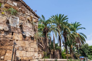 Türkiye 'nin eski Antalya kentindeki eski bir taştan yapılmış antik bir binanın duvarının yanında mavi gökyüzüne karşı yeşil yapraklı palmiye ağaçları.