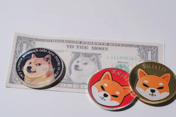 Shiba madeni para ve doge deste üzerinde kripto para ile dahil 100 ABD doları yeni para Amerikan Sanal Sanal zincir teknolojisi gelecek para kavramı yakın ve beyaz arka planda Macro.