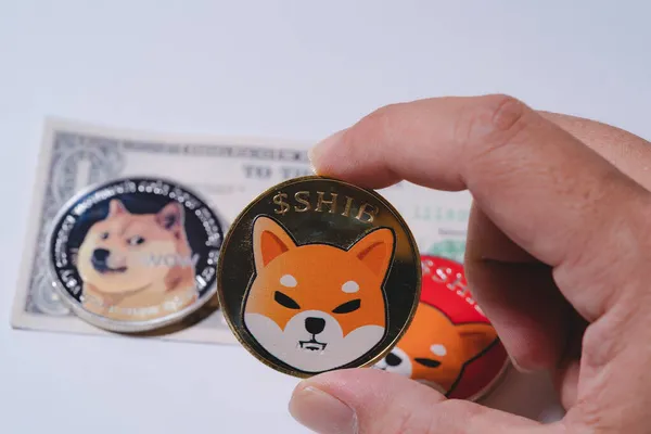 Şifreli para birimi Dogecoin DOGE, bitcoin BTC, Ethereum ETH sembolü Sanal engelleme teknolojisi ile birlikte el veya parmak seçen Shiba para grubu dijital paradır..