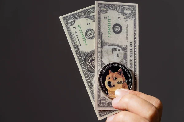 Dogecoin Doge Crypto Munt Munt Hand Stapel Bankbiljetten Dollar Geld — Stockfoto