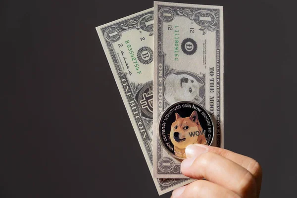 Dogecoin DOGE Kripto para yığını dolar banknotlar para sanal zincir teknolojisi siyah arkaplan ve bir şey koymak için serbest alan