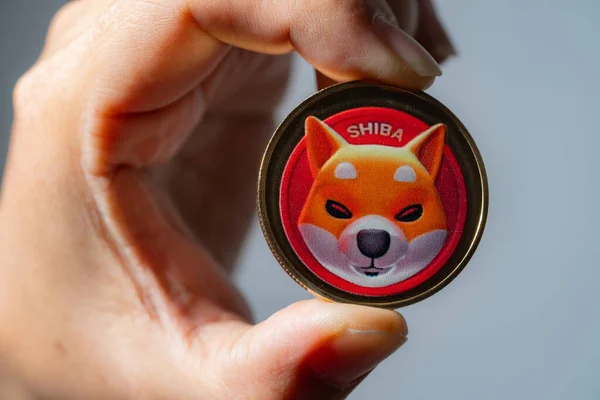 Şifreli para birimi Dogecoin DOGE, bitcoin BTC, Ethereum ETH sembolü Sanal engelleme teknolojisi ile birlikte el veya parmak seçen Shiba para grubu dijital paradır..