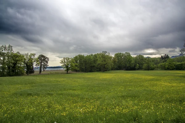 Nature — Stock Photo, Image