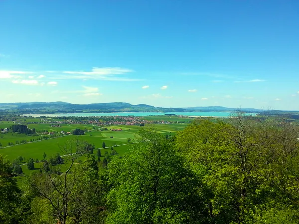 Grüne Wiese — Stockfoto