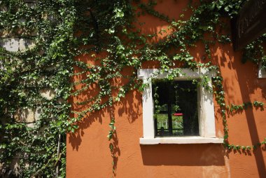 turuncu üzerine yeşil pencere