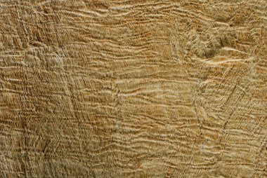 kahverengi parşömen kağıt fil deri hissediyorum