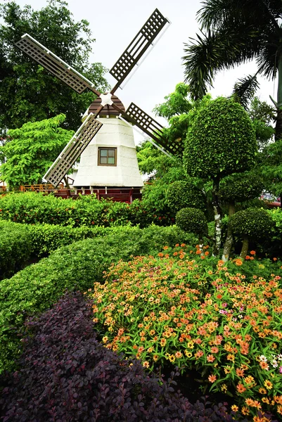 Windmühle — Stockfoto