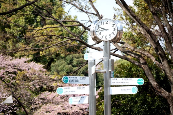 Reloj en Japón parque —  Fotos de Stock