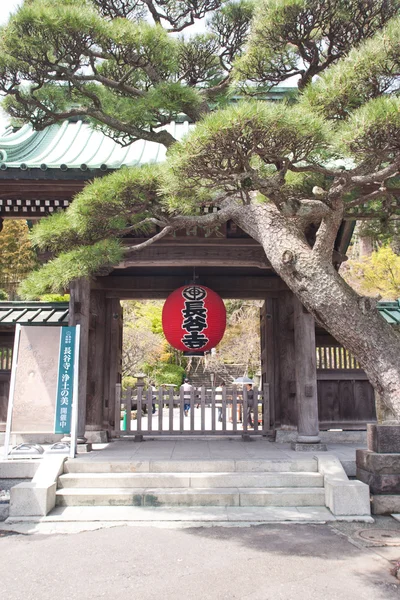 Lanterna vermelha na frente do templo kamakura — Fotografia de Stock