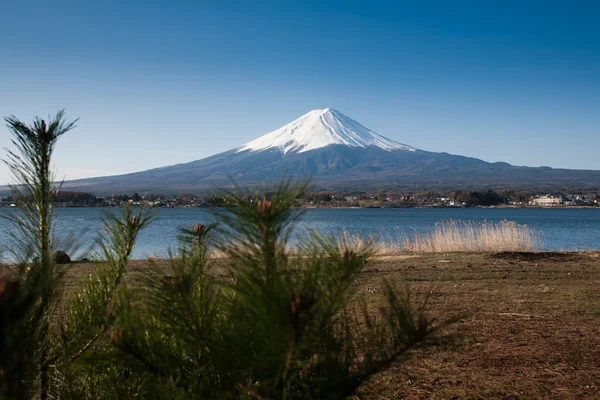 Monte Fuji vista dal lago — Foto Stock