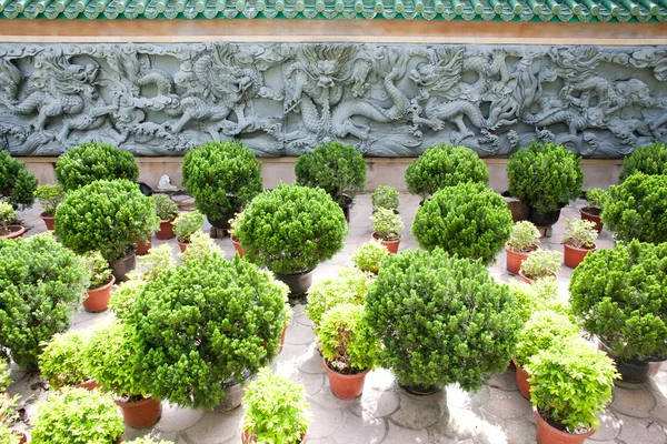 Azjatycki styl smoka kamienne wzór na ścianie w ogrodzie — Zdjęcie stockowe