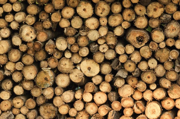 Background of dry chopped firewood logs stacked up on top of eac — Stock Photo, Image