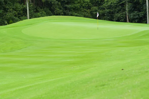 Verde de golfe — Fotografia de Stock