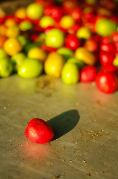 小番茄新鲜市场 — 图库照片