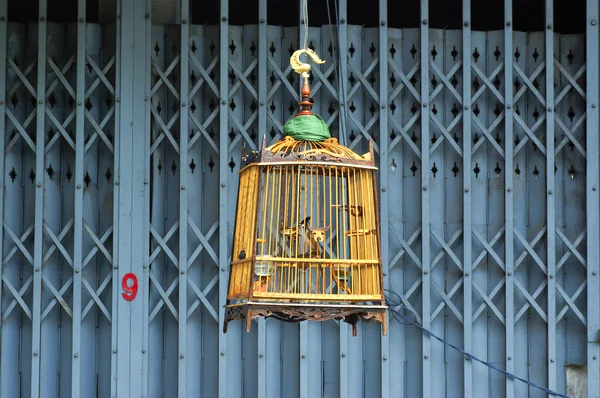 Gaiola de pássaro de madeira — Fotografia de Stock