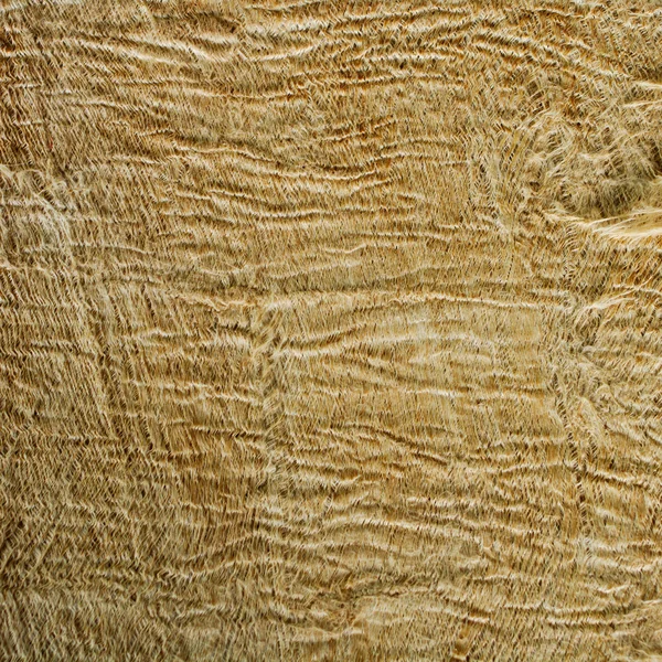 Brown Parchment paper with elephant skin feel — Stock Photo, Image