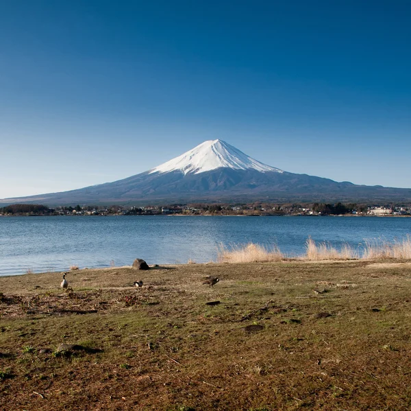 MT fuji uitzicht vanaf het meer — Stockfoto