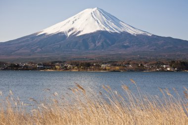 güzel fuji Dağı ile göl, Japonya