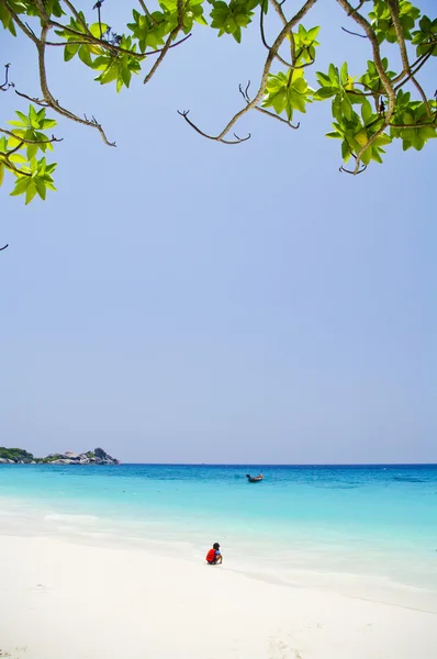 Praia branca com belo mar azul em Similan Tailândia — Fotografia de Stock