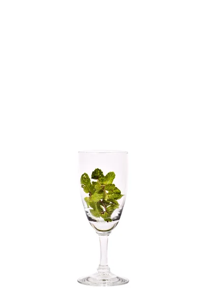 Hortelã-pimenta fresca em copo de vinho, isolada sobre fundo branco — Fotografia de Stock