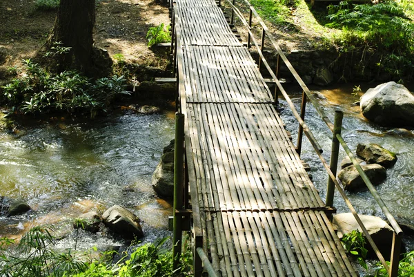 Pontes, bambu, florestas tropicais, Tailândia — Fotografia de Stock